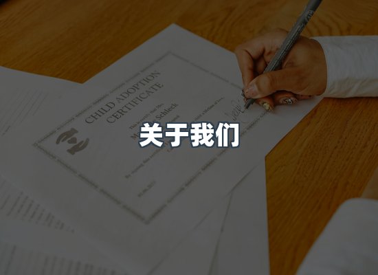 专业团队